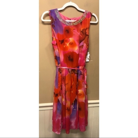 Sandra Darren Pink Watercolor Dress SIze 12 NWT - Picture 1 of 5